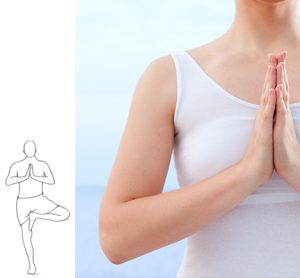 dru yoga bij hand en hart